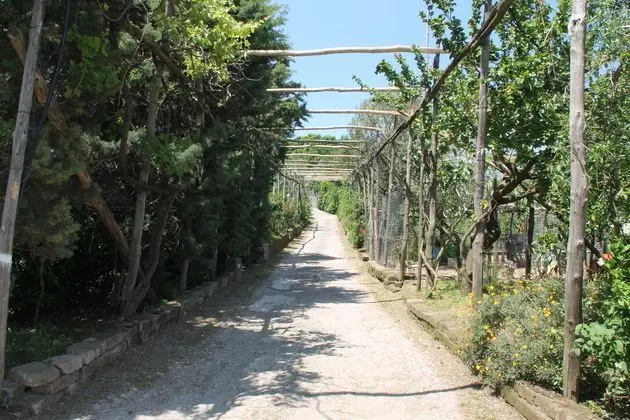 Agriturismo Piccolo Paradiso - Lobi