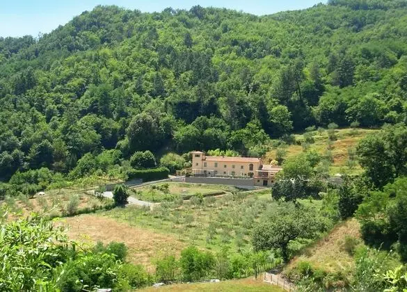 Agriturismo Podere Borsano - 1