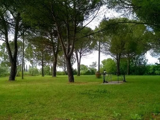 Agriturismo Podere Caggiolo - Dış Mekan