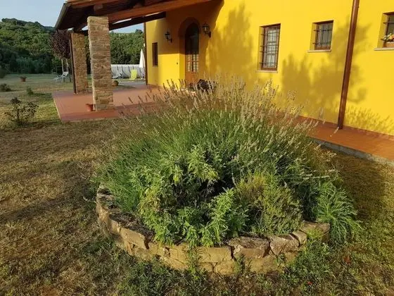Agriturismo Podere Casalone - Dış Mekan