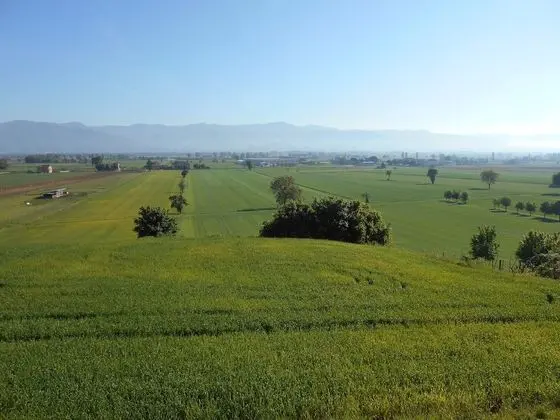 Agriturismo Podere Casenove - Dış Mekan