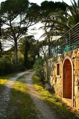 Agriturismo Poggio al Pino - Dış Mekan