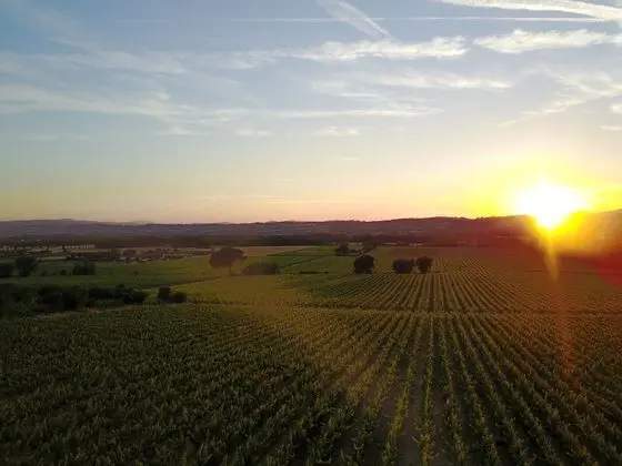Agriturismo Poggio alle Vigne