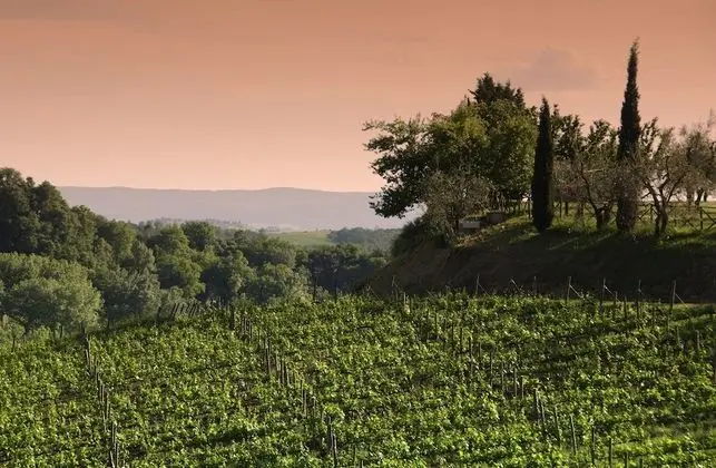 Agriturismo Poggio Bonelli