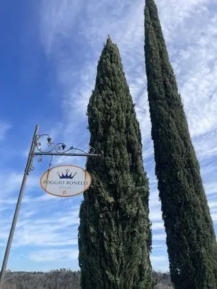 Agriturismo Poggio Bonelli - Dış Mekan
