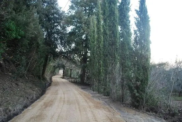 Agriturismo San Vettore Denti Massimo - Lobi