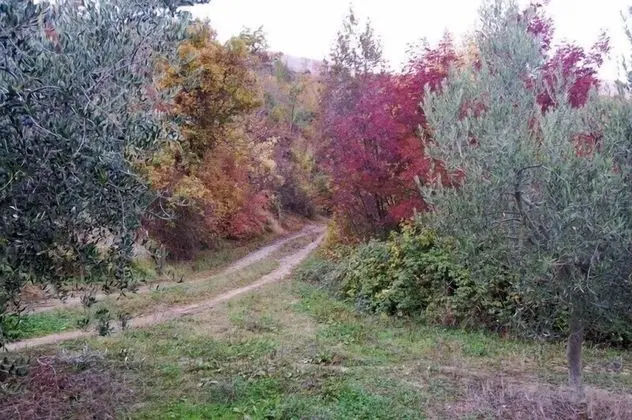 Agriturismo Santa Caterina - Dış Mekan