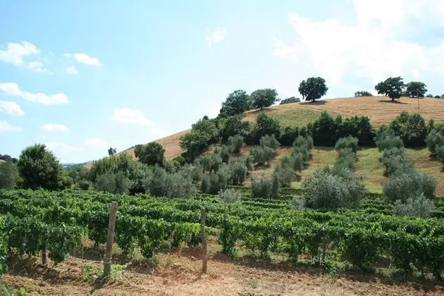 Agriturismo Serratone - Dış Mekan