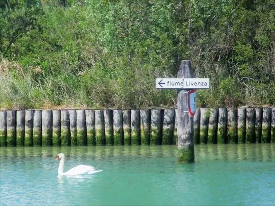 Agriturismo Sesta Presa - Genel