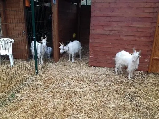 Agriturismo Specchiarussa - Dış Mekan