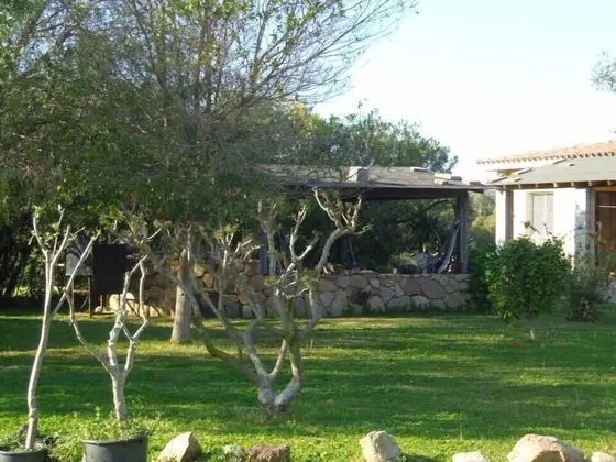 Agriturismo Su Pinnatu - Dış Mekan