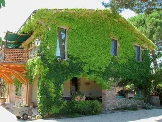 Agriturismo With Swimming Pool, in the Hills Between Vineyards, Olive Groves and Forests - Dış Mekan