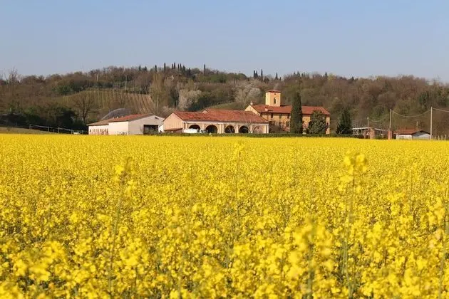 Agriturismo Tenuta Le Sorgive - Öne Çıkan Resim
