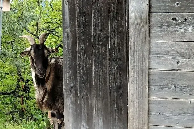 Agriturismo Tenuta Monte la Guardia - Dış Mekan