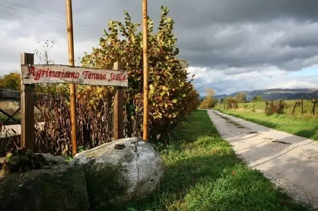 Agriturismo Tenuta Stella