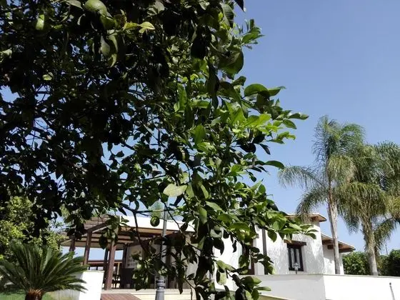 Agriturismo Terra dei Limoni