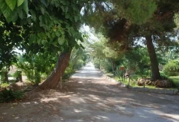 Agriturismo Terrauzza sul Mare - Dış Mekan