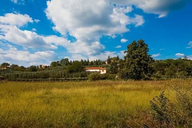 Agriturismo Terre di Leonardo - Dış Mekan