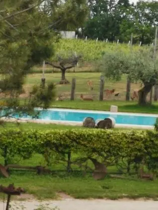 Agriturismo Torre Mannella