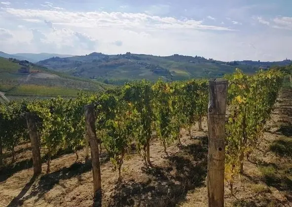Agriturismo Vecchio Torchio - Dış Mekan
