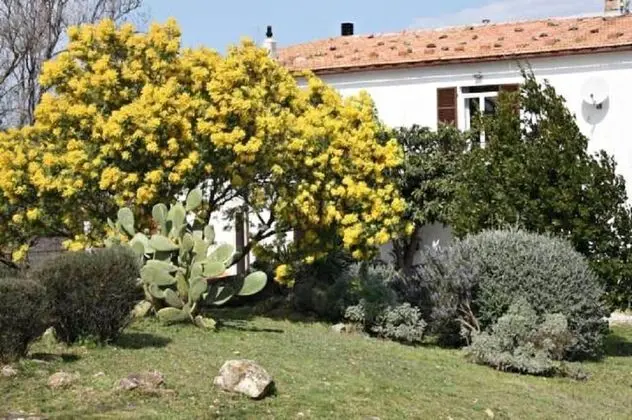 Agriturismo Verdicchio