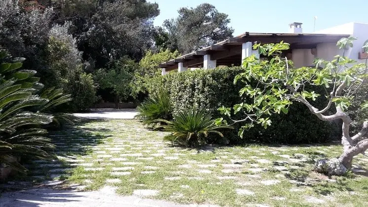 Agriturismo Vignavecchia - Dış Mekan