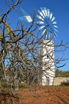 Agroturismo Finca Son Amora - Genel