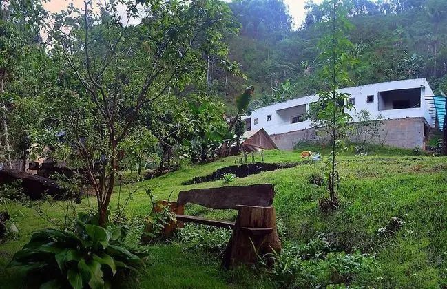 Águas da Mata