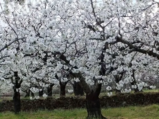 Aguas del Venero - Dış Mekan