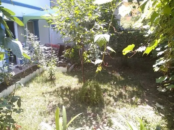 Agva Ayse Hanim Guesthouse - Manzara / Peyzaj