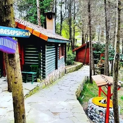 Agva Orman Evleri (Forest Lodge) - Genel