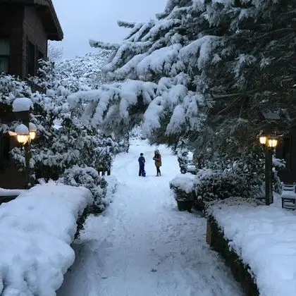 Ağva Piccolo Mondo Hotel - Manzara / Peyzaj
