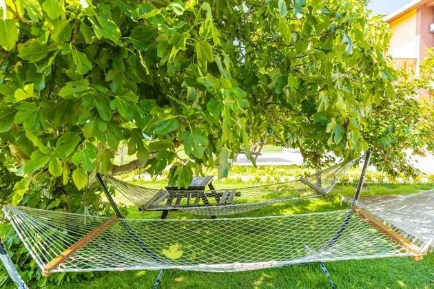 Ağva Teras Garden Otel & Bungalov - 7