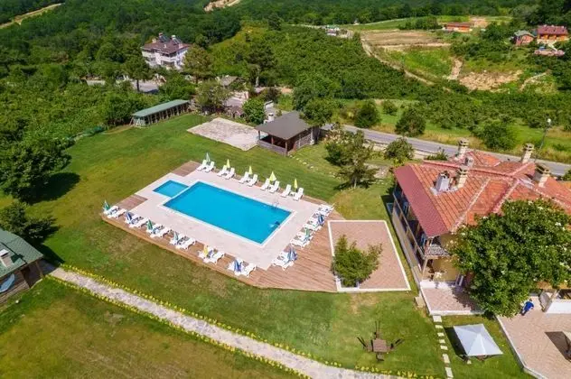 aerial view
