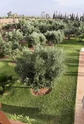 Villa AH MN - Dış Mekanlar