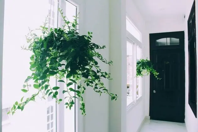 AHA Thien Bao Hotel Da Lat - Lobi