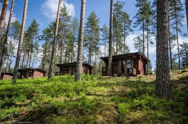 Ahvenlampi Camping