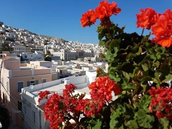 Aigli Hotel Syros - Genel