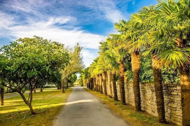 Airotel Oleron - Dış Mekan