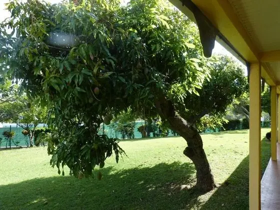 Airport Hotel - Dış Mekan