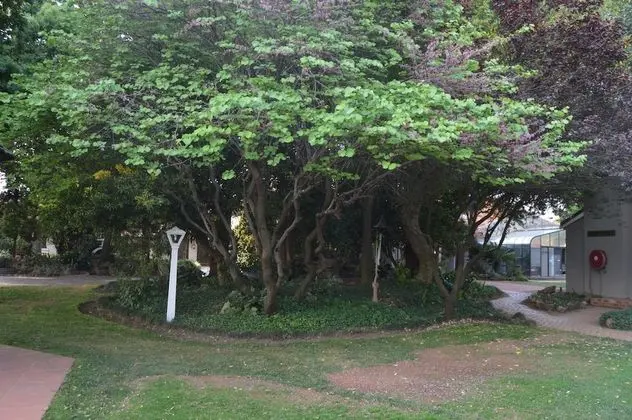 Airport Garden Boutique Hotel - Dış Mekan
