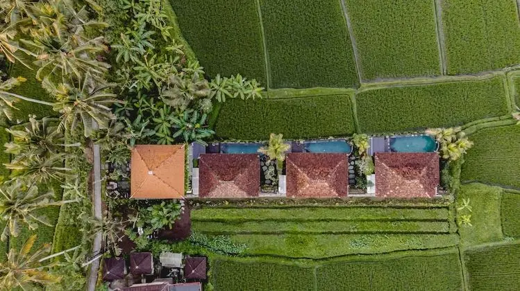 Airsania Ubud Antique Villas