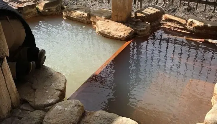 Akagi Onsen Onyado Souhonke - Ryokan Tesisleri