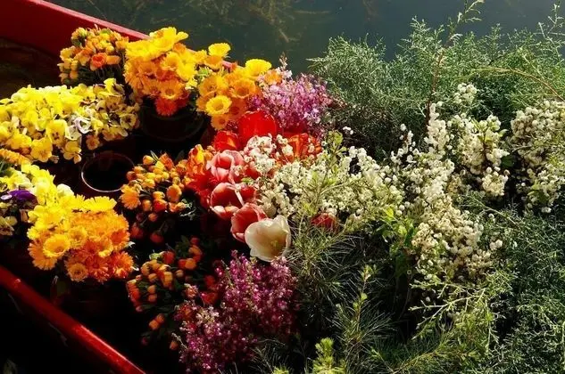 Akbar Group Of Heritage Houseboats - Dış Mekan