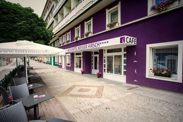 Aktivhotel Weißer Hirsch - 1