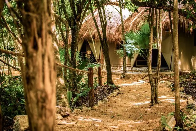 Akumal Natura Glamping - Genel