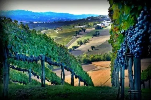 Al Campanaro Bed & Breakfast - Genel