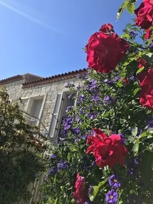 Alacati Cona Butik Otel - Lobi