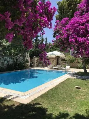 Alacati Zeytin Konak Hotel - Havuz