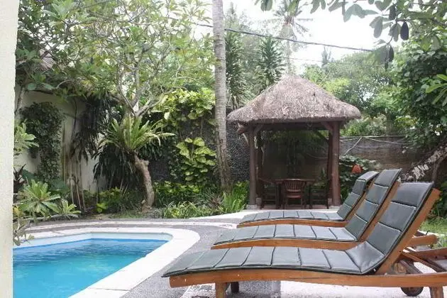 Alam Bali Hotel - Havuz